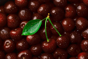 cherries and leaf with water drops (horizontal)