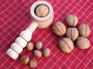 walnuts and hazelnuts