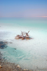 bords de la mer morte