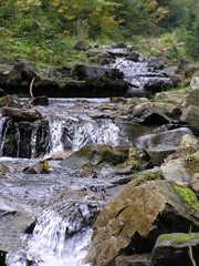 carpathian stream