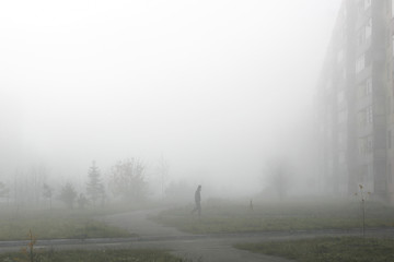 autumn fog