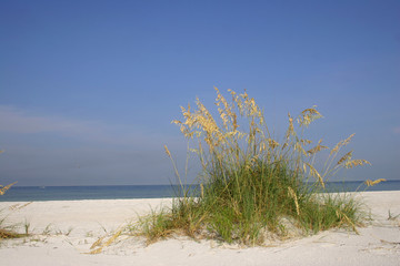 playa tropical