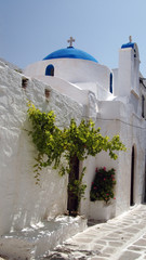 greek church with  green tree