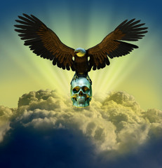 bald eagle with skull