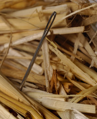 needle in a haystack,vertical