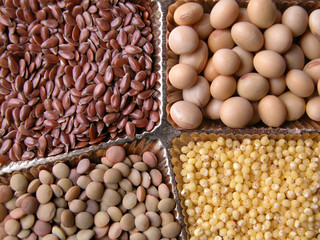 seeds