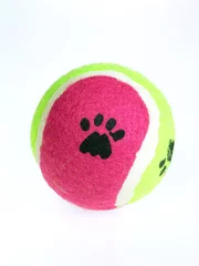 Washable wall murals Ball Sports paw ball