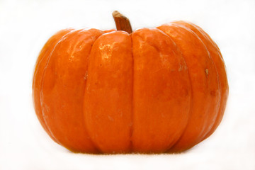 Obraz premium little pumpkin i (isolated)