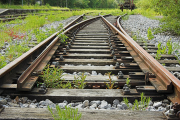 shunting switch