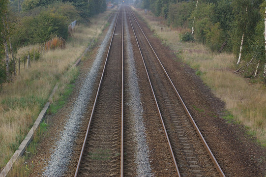 tracks 03