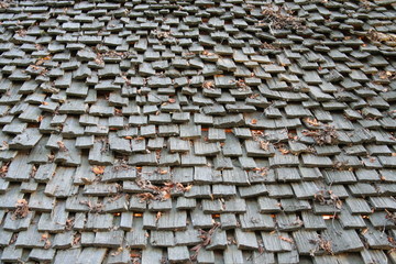 vieille toiture bois