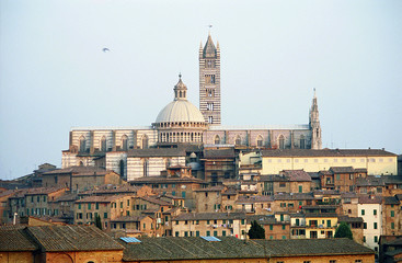 Naklejka premium florencia