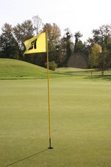 Obraz premium drapeau sur le green