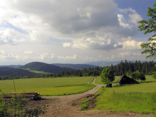 Obraz premium nature