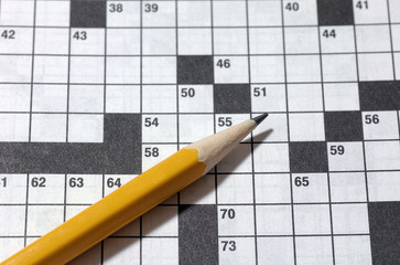 crossword puzzle - 111500