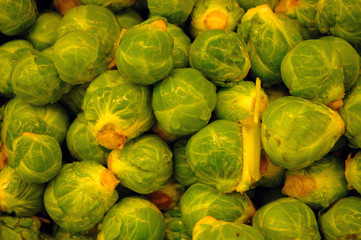 Fototapeta na wymiar brussel sprouts