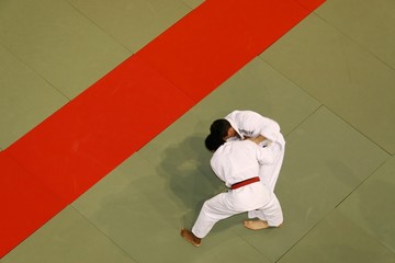 judo