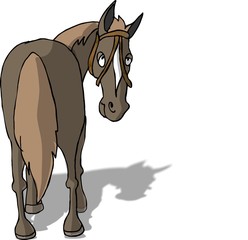 horse's rear © Dennis Cox