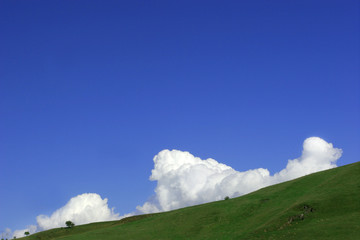 cumulus clouds rising