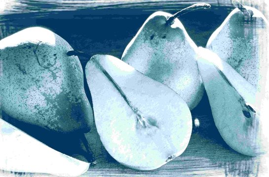 cyanotype wil