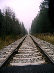 Fototapeta premium schiene