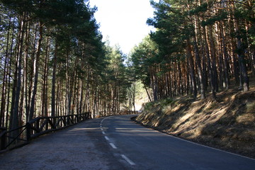 camino