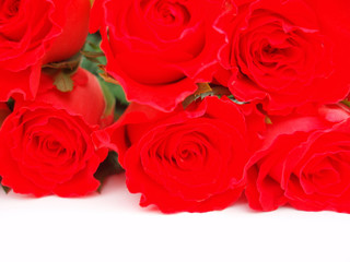 bunch of red roses