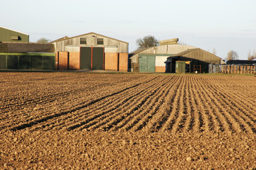 farm field and barns
