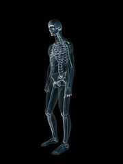 xray, x-ray of the human male body.