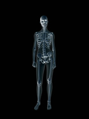 Fototapeta na wymiar xray, x-ray of the human female body.
