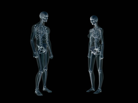 xray, x-ray of the human body, man and woman.