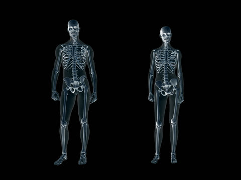 xray, x-ray of the human body man and woman.