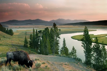 Foto op Canvas Yellowstone National Park © Alexander