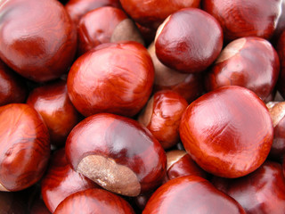 chestnuts