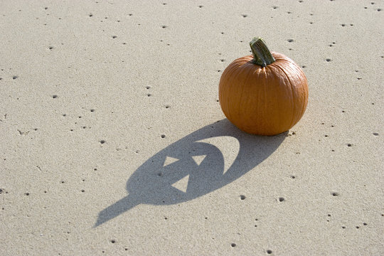 haunted pumpkin