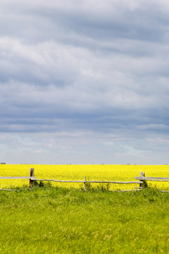 prairie landscape - fence line
