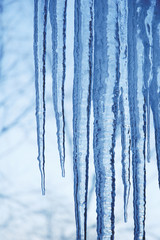icicles
