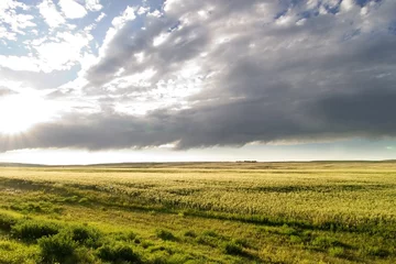 Fototapeten prairie sky landscape © Tyler Olson