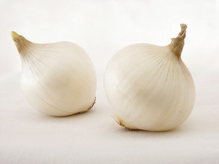 onion isolated on white - 137542