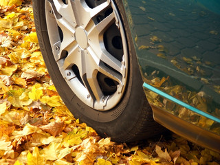 wheel in autumn - 137756