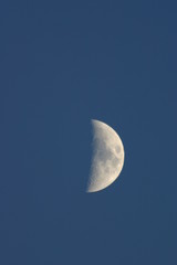 Obraz na płótnie Canvas demie lune