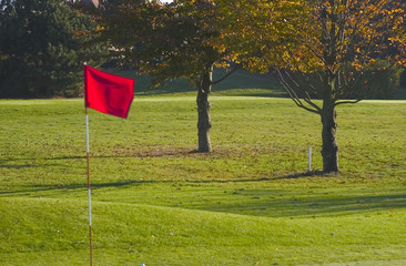 drapeau de green