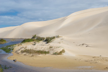 Fototapeta na wymiar dunes #5