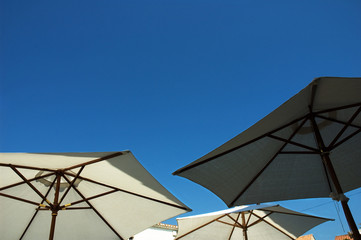parasol