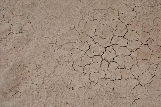 Cracked Dried Earth