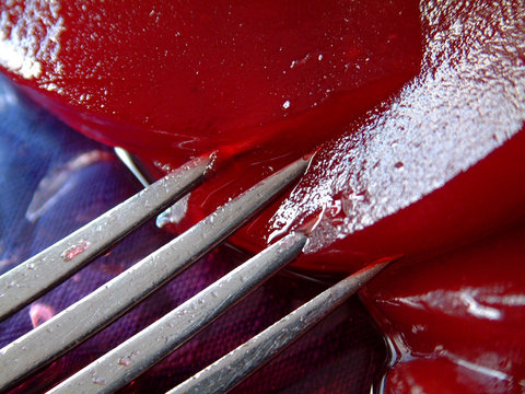 cranberry saurce and a silver fork