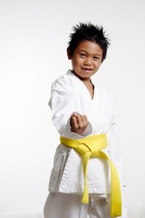 stock photo of kid in karate stance