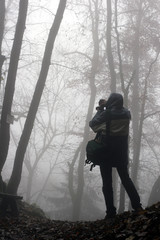 Obraz premium forest in winter