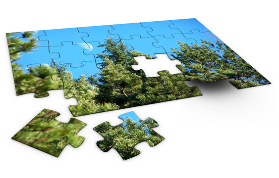 puzzle nature