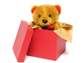 teddy bear inside a box